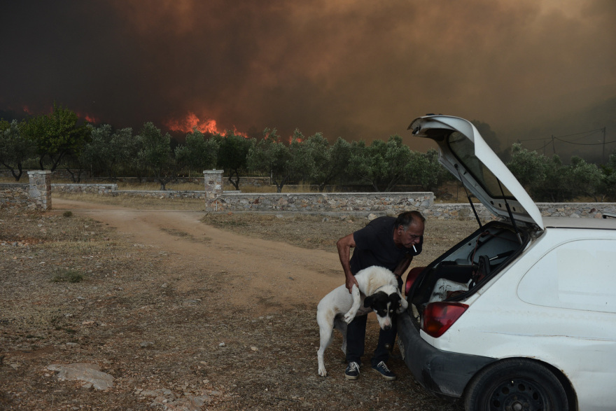 Φωτιά στα Δερβενοχώρια: Αυτό είναι το πύρινο μέτωπο που απειλεί τη Μάνδρα - Δείτε βίντεο και φωτογραφίες 