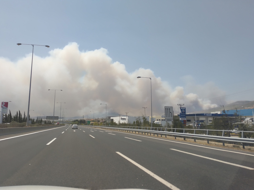 Φωτιά στα Δερβενοχώρια: Συγκλονιστικό οδοιπορικό στη Μάνδρα - Εικόνες μεγάλης καταστροφής στη θέση Μικρό Κατερίνη