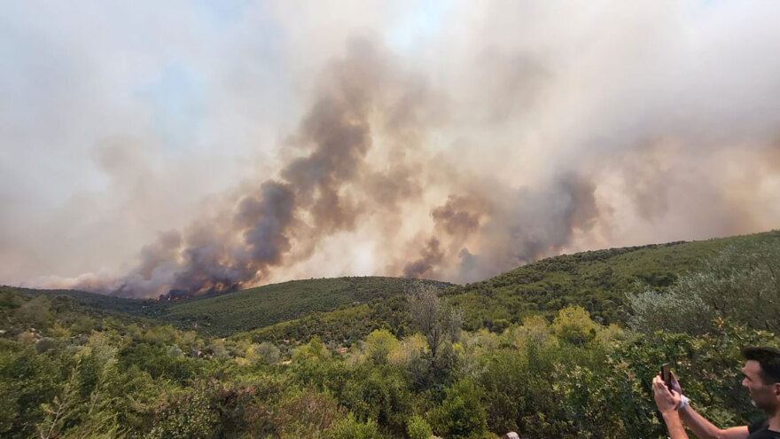 Φωτιά στα Δερβενοχώρια: Αυτό είναι το πύρινο μέτωπο που απειλεί τη Μάνδρα - Δείτε βίντεο και φωτογραφίες 