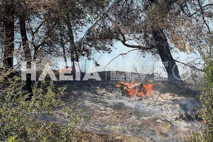 Πυρκαγιά στην Ηράκλεια Ηλείας - Δεν κινδυνεύουν κατοικημένες περιοχές