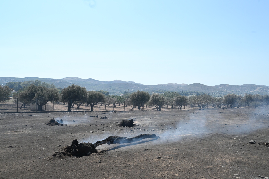 Φωτιές: Σχεδόν 35.000 στρέμματα κάηκαν από την πυρκαγιά στην Ανατολική Αττική