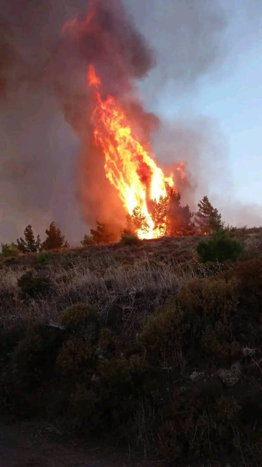 Ρόδος: Μαίνεται ανεξέλεγκτη η φωτιά  - Εκκενώθηκαν τρία χωριά και ένα ξενοδοχείο