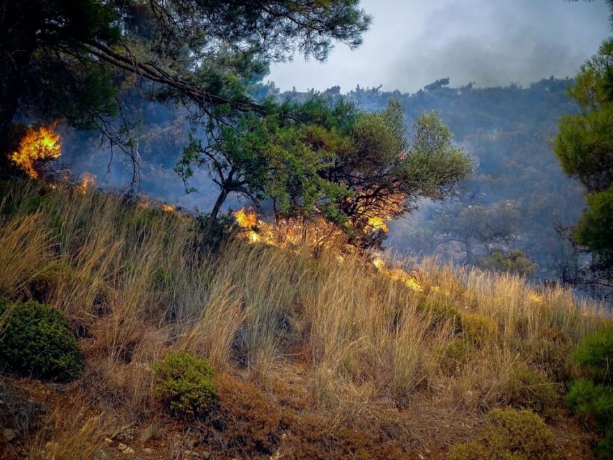 Φωτιά σε δυτική Αττική, Ρόδο και Σπάρτη: Τέταρτη μέρα μάχη με τις φλόγες - Οι αναζωπυρώσεις και τα ενεργά μέτωπα
