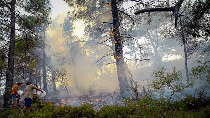 Η μάχη των εθελοντών να σβήσουν τη φωτιά στη Ρόδο με κουβάδες, μπιτόνια και βαρέλια - Δείτε φωτογραφίες