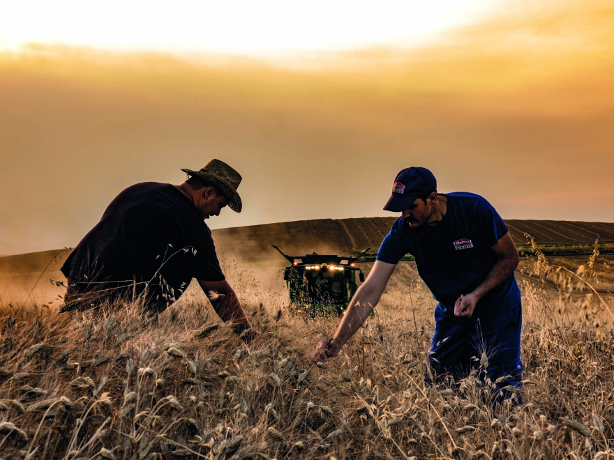 Ο εντυπωσιακός κόσμος των ζυμαρικών αποκαλύπτεται στο Μετρό