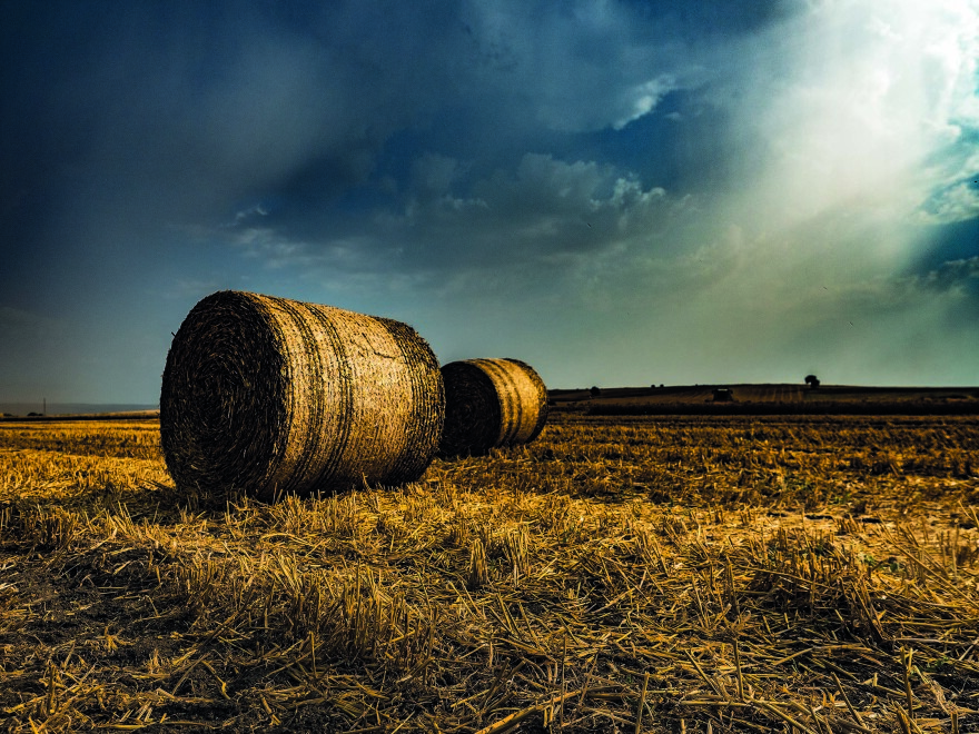 Ο εντυπωσιακός κόσμος των ζυμαρικών αποκαλύπτεται στο Μετρό