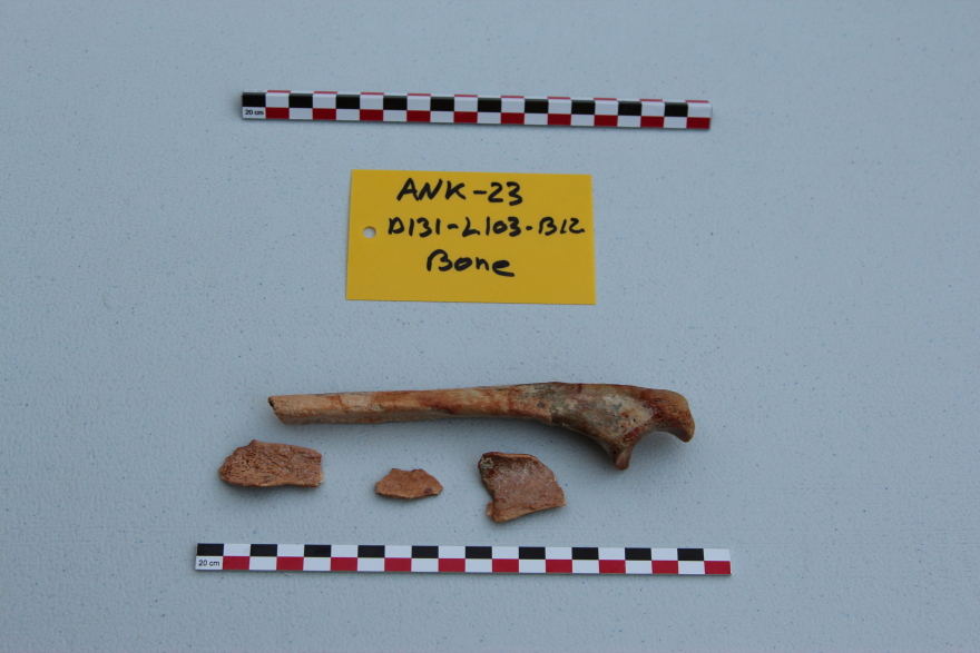 Ναυάγιο των Αντικυθήρων: Τα νέα στοιχεία που έφεραν στο φως οι έρευνες - Δείτε φωτογραφίες