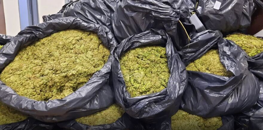 Αττική: Είχαν γεμίσει βίλα με ναρκωτικά, έκαναν έφοδο οι αστυνομικοί - Δείτε βίντεο και φωτογραφίες