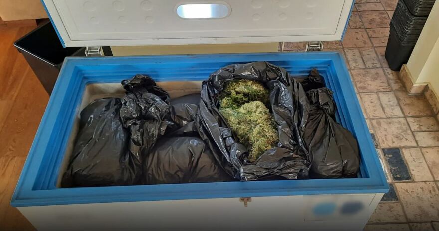 Αττική: Είχαν γεμίσει βίλα με ναρκωτικά, έκαναν έφοδο οι αστυνομικοί - Δείτε βίντεο και φωτογραφίες