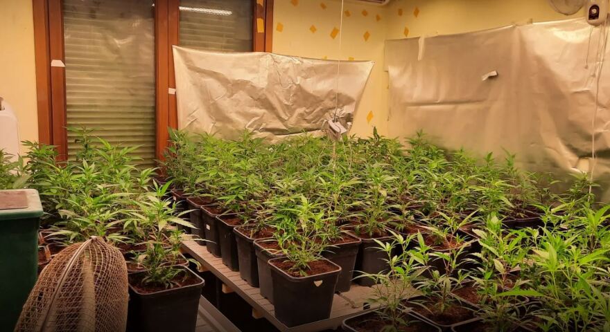 Αττική: Είχαν γεμίσει βίλα με ναρκωτικά, έκαναν έφοδο οι αστυνομικοί - Δείτε βίντεο και φωτογραφίες