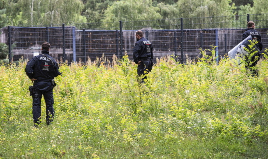 Βερολίνο: Το λιοντάρι που αναζητούσαν στο κέντρο της πόλης ήταν μάλλον αγριογούρουνο, λένε οι Αρχές
