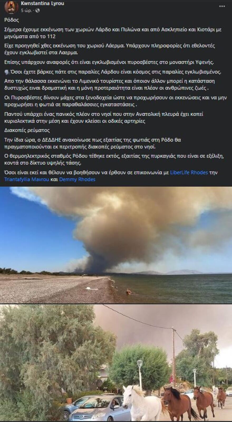 Φωτιά στη Ρόδο: Άλογα τρέχουν να σωθούν από την πύρινη λαίλαπα - Δείτε φωτογραφία