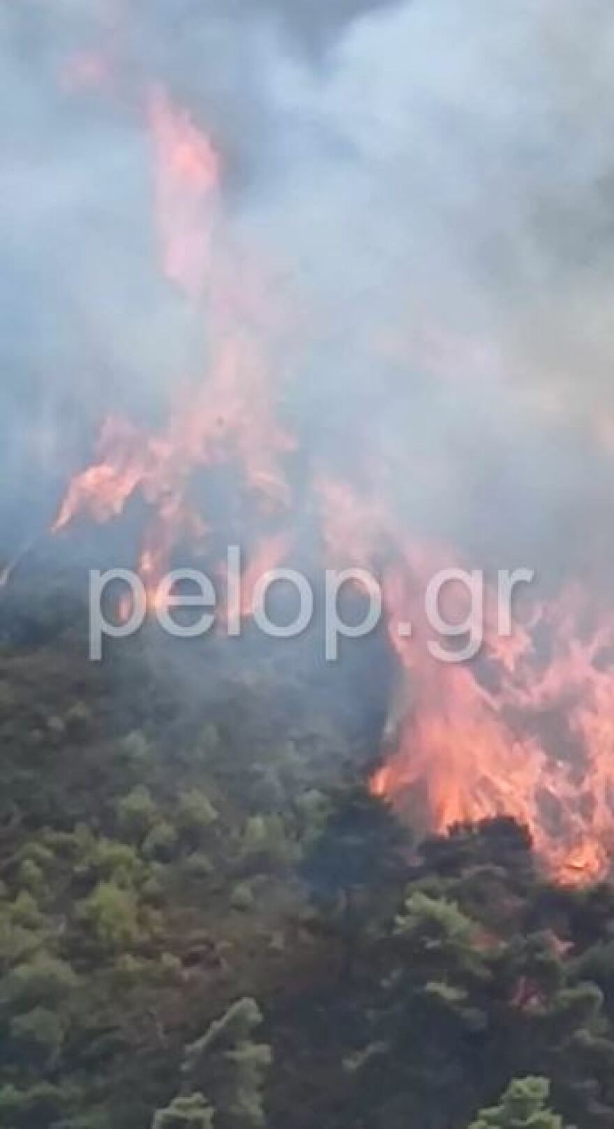 Αίγιο: Μεγάλη φωτιά στα Ζαχλωρίτικα - Έκλεισε η παλαιά εθνική οδός Πατρών-Κορίνθου