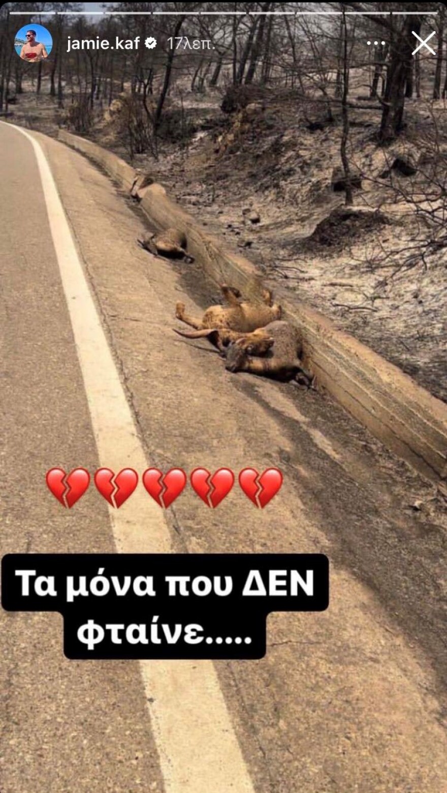 Τζέιμς Καφετζής: Η φωτογραφία με τα καμένα ελάφια της Ρόδου - «Τα μόνα που δεν φταίνε»