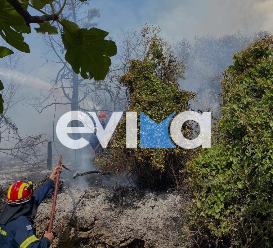 Υπό μερικό έλεγχο η φωτιά στην Κύμη Ευβοίας - Ισχυρές δυνάμεις στην περιοχή 