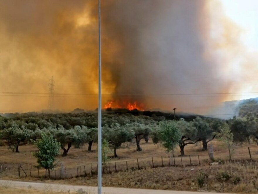 Λαμία: Καίγονται σπίτια - Μήνυμα του «112» για εκκένωση προς Στυλίδα