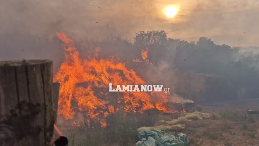 Λαμία: Καίγονται σπίτια - Μήνυμα του «112» για εκκένωση προς Στυλίδα