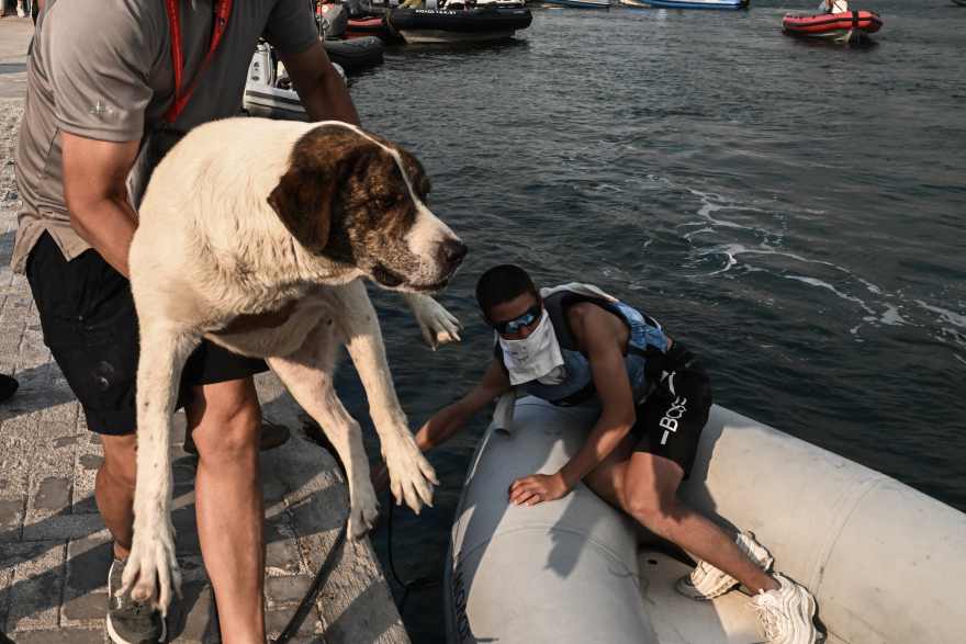 Aναβλήθηκε το Παγκόσμιο Ιστιοπλοΐας - 440 ιστιοπλόοι βοηθούν στην εκκένωση της Νέας Αγχιάλου