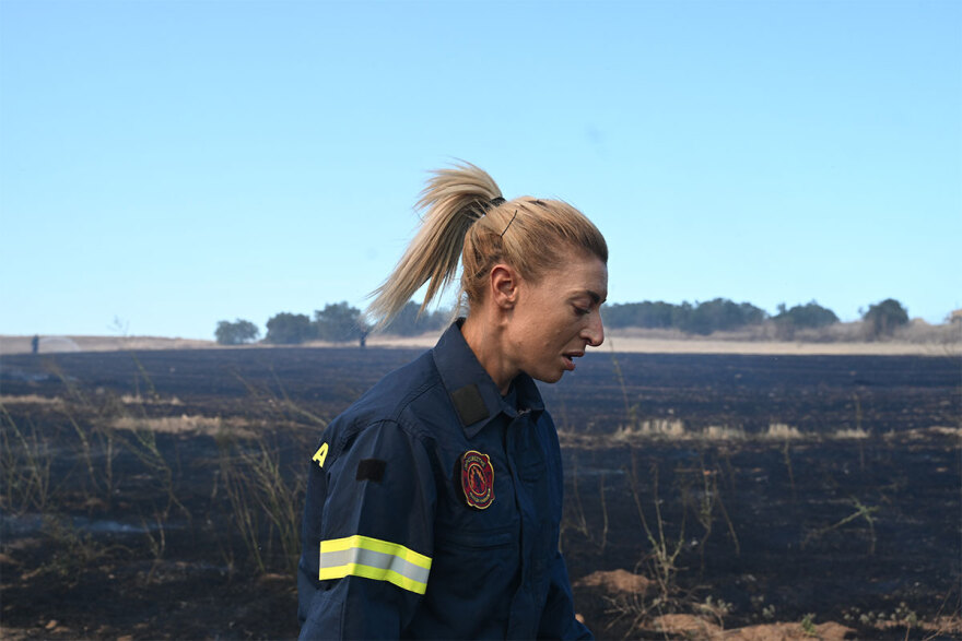 Φωτιές - Γήτας (καθηγητής Δασολογίας): Γιατί «προτιμούν» νησιά και νότια Ελλάδα - Πώς συνδέονται με τις βροχές