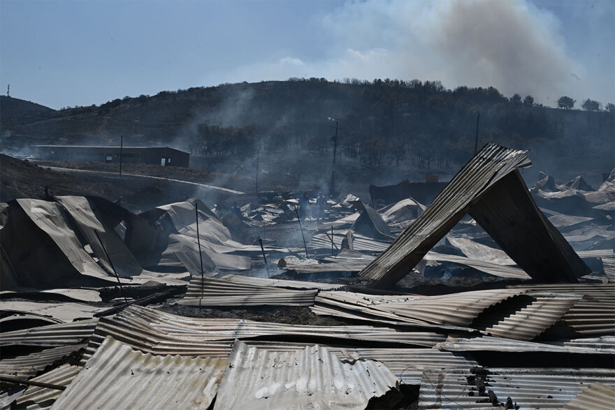 Φωτιές - Γήτας (καθηγητής Δασολογίας): Γιατί «προτιμούν» νησιά και νότια Ελλάδα - Πώς συνδέονται με τις βροχές