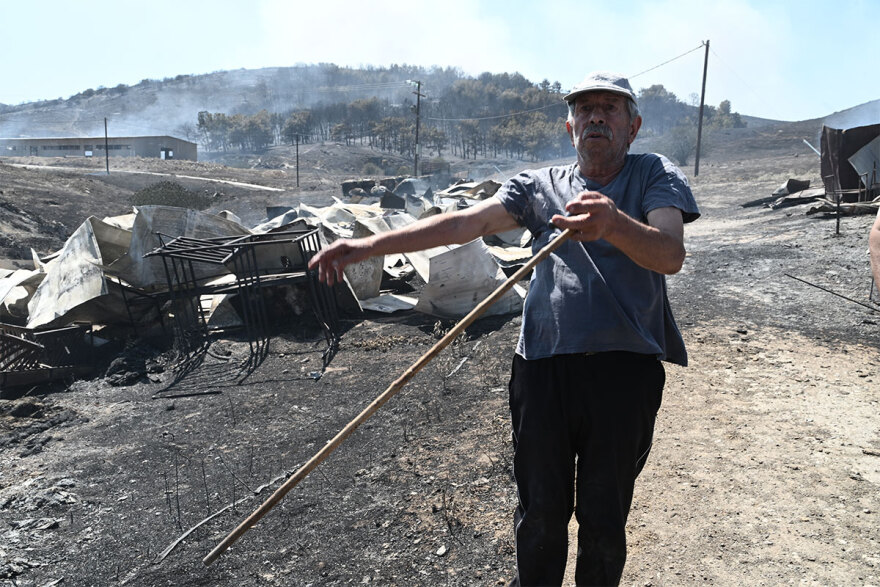 Φωτιές - Γήτας (καθηγητής Δασολογίας): Γιατί «προτιμούν» νησιά και νότια Ελλάδα - Πώς συνδέονται με τις βροχές