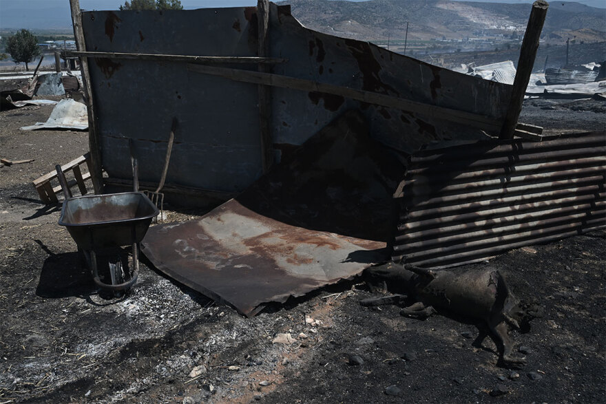 Φωτιές - Γήτας (καθηγητής Δασολογίας): Γιατί «προτιμούν» νησιά και νότια Ελλάδα - Πώς συνδέονται με τις βροχές