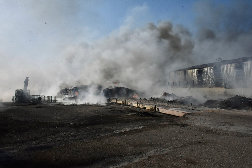 Αναζωπύρωση στο χωριό Σέσκλο στη Μαγνησία - Χωρίς ρεύμα Βελεστίνο και Άγιος Γεώργιος