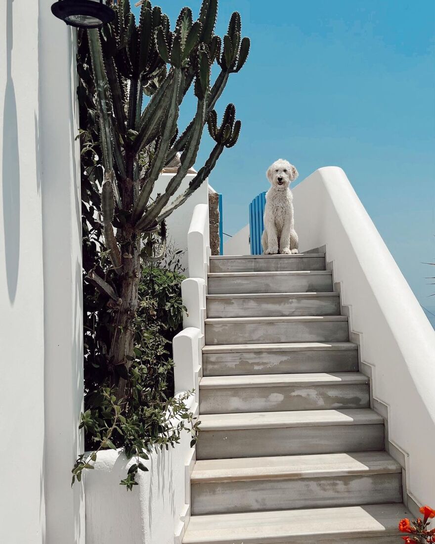 Ηλίας Μπόγδανος – Αλεξάνδρα Εξαρχοπούλου: Απολαμβάνουν τις διακοπές τους στα ελληνικά νησιά