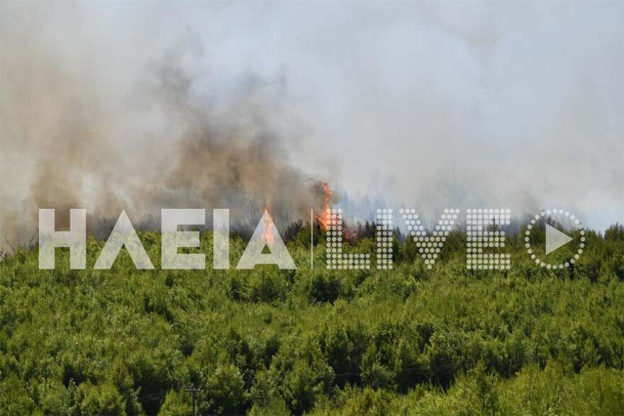Ηλεία: Μέτωπα σε Παλαιοβαρβάσαινα, Σαλμώνη και Αρχαία Ολυμπία - Κοντά σε σπίτια οι φλόγες, μήνυμα 112 για εκκένωση