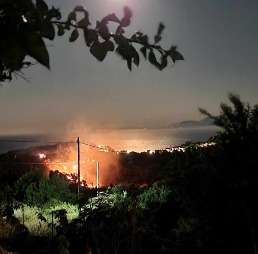 Κεφαλονιά: Πυρκαγιά στην περιοχή Σπαρτιά