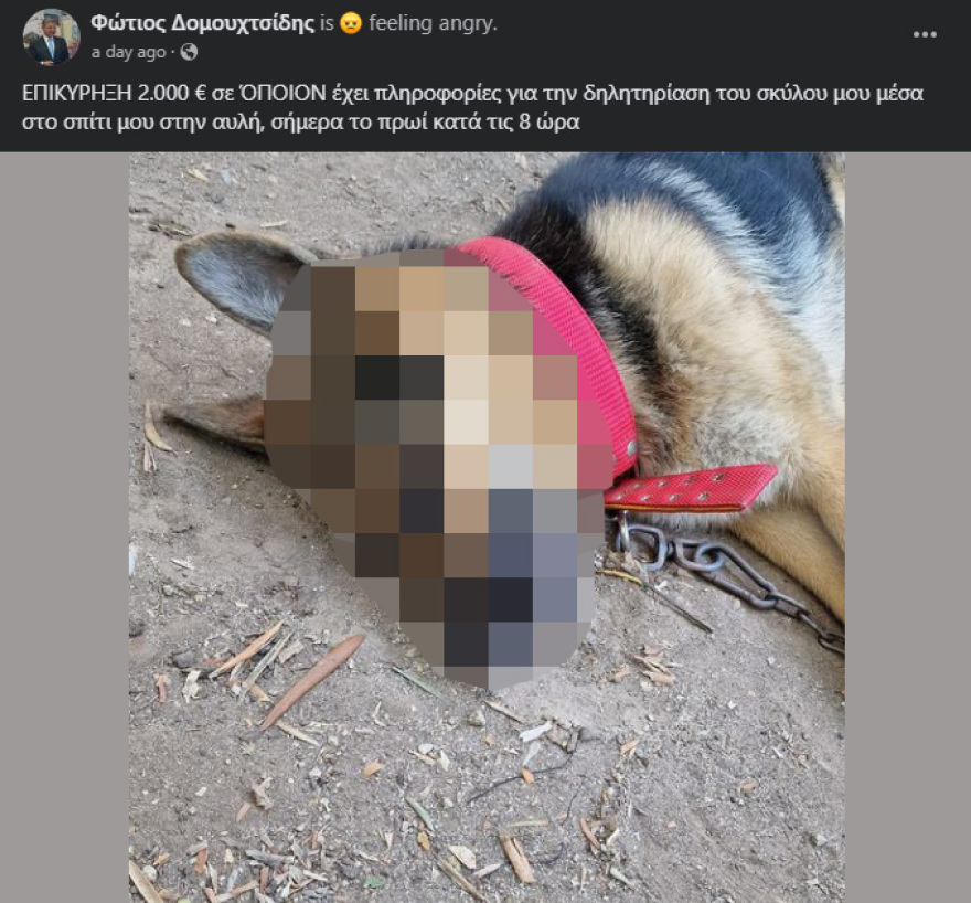 Σέρρες: Δεύτερη φορά σκοτώνουν με φόλα σκύλο του δημάρχου Σιντικής μέσα στην αυλή του