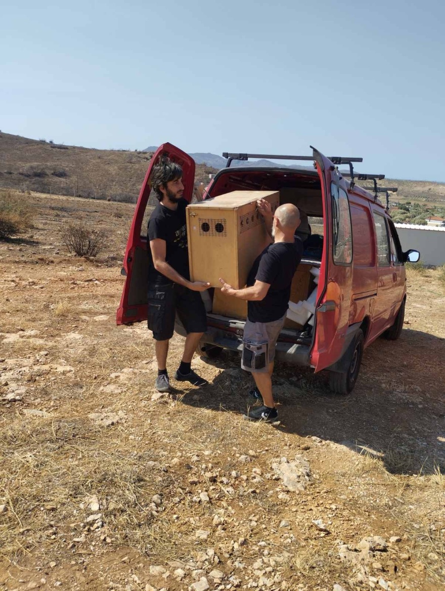 Κρήτη: Οι γύπες πεθαίνουν από αφυδάτωση - Η έκκληση των φιλοζωικών οργανώσεων