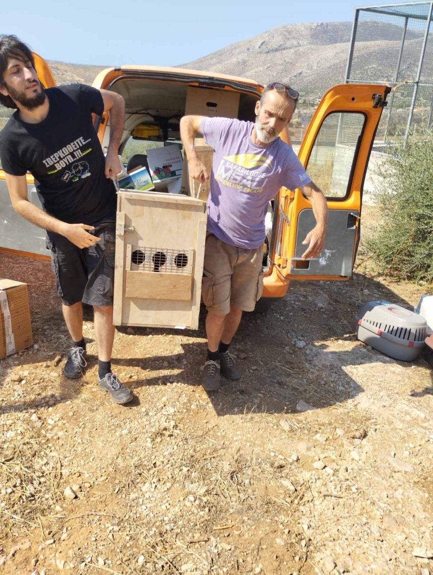 Κρήτη: Οι γύπες πεθαίνουν από αφυδάτωση - Η έκκληση των φιλοζωικών οργανώσεων