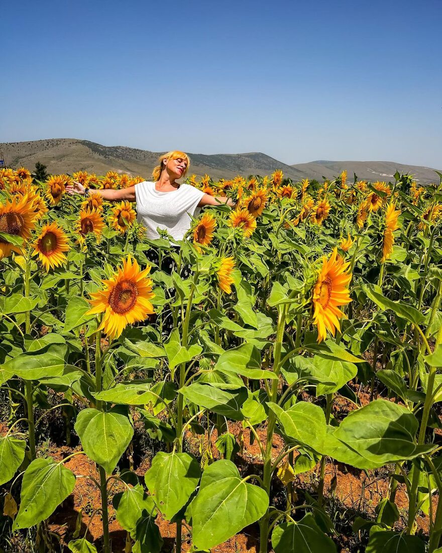 Ελεωνόρα Ζουγανέλη: Υποδέχεται τον Αύγουστο μέσα στα ηλιοτρόπια - «Αν γουστάρετε ερωτευτείτε»