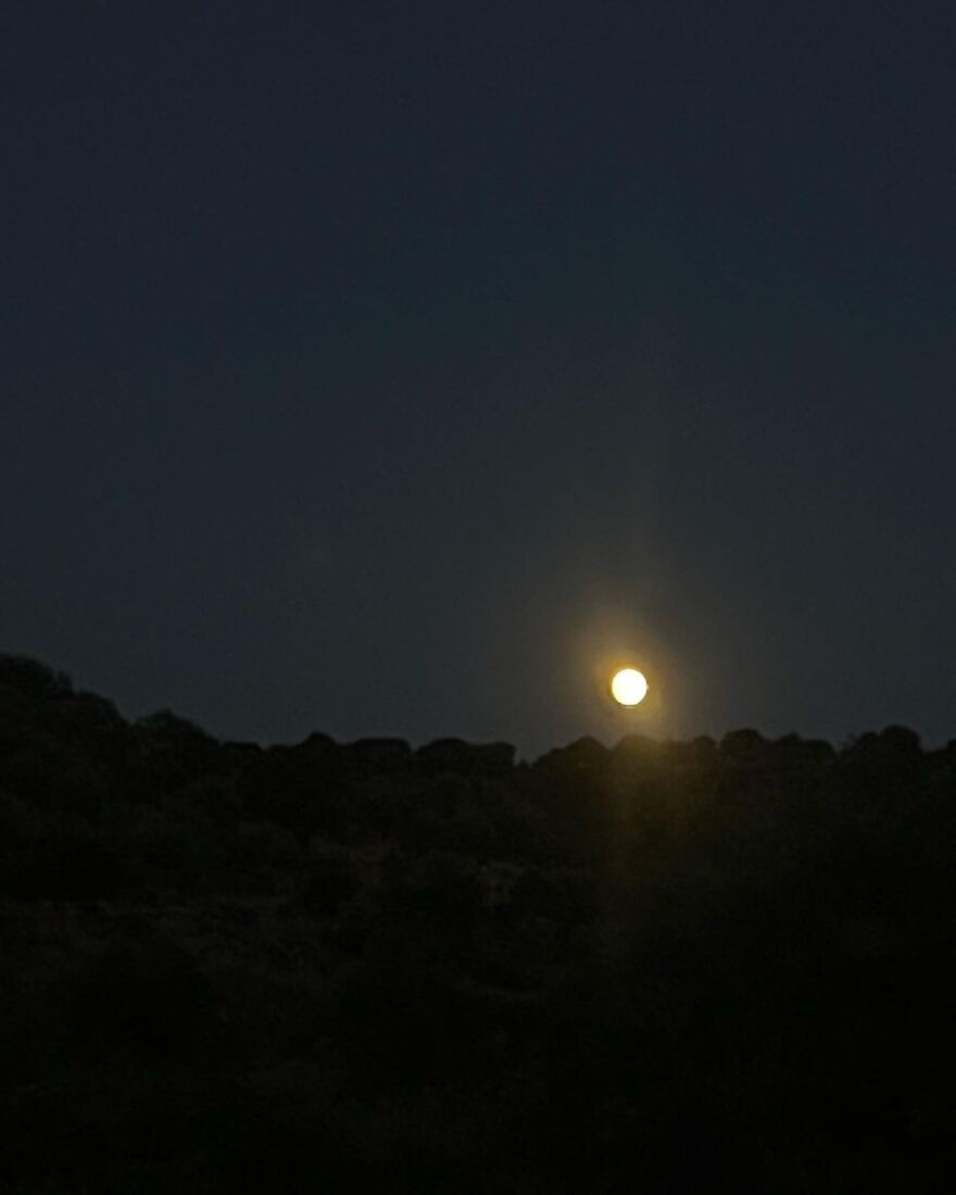 Δανάη Μπάρκα: Εύχεται «καλό μήνα» από τις Κιτριές Μεσσηνίας - Δείτε φωτογραφίες