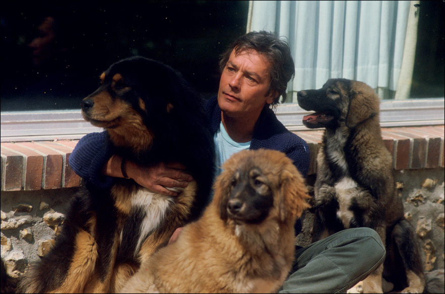 Αλέν Ντελόν: Σοβαρές κατηγορίες από τα παιδιά του εναντίον της οικιακής βοηθού του