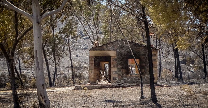 Ανυπολόγιστη καταστροφή στη Ρόδο - Κάηκαν 135.000 στρέμματα «καθαρής» δασικής έκτασης