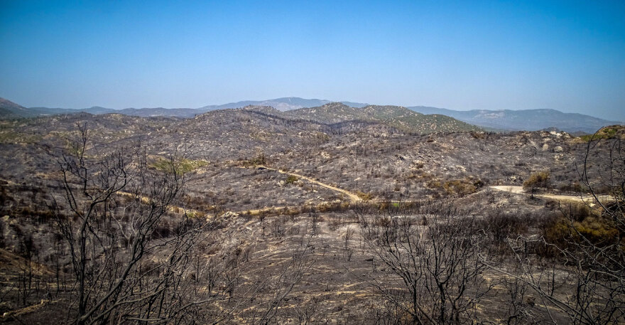 Ανυπολόγιστη καταστροφή στη Ρόδο - Κάηκαν 135.000 στρέμματα «καθαρής» δασικής έκτασης