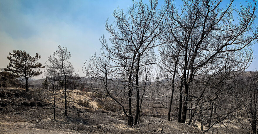 Ανυπολόγιστη καταστροφή στη Ρόδο - Κάηκαν 135.000 στρέμματα «καθαρής» δασικής έκτασης