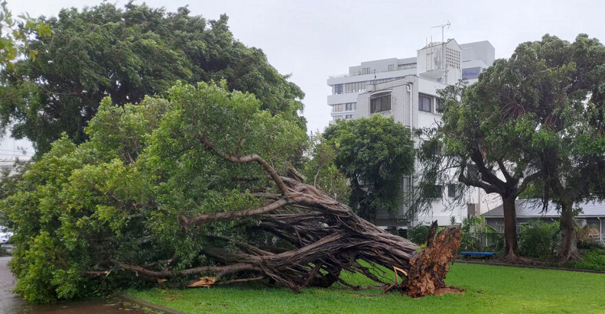 Ιαπωνία: Ένας νεκρός, 13.000 νοικοκυριά χωρίς ρεύμα από τον τυφώνα Χανούν - Δείτε βίντεο