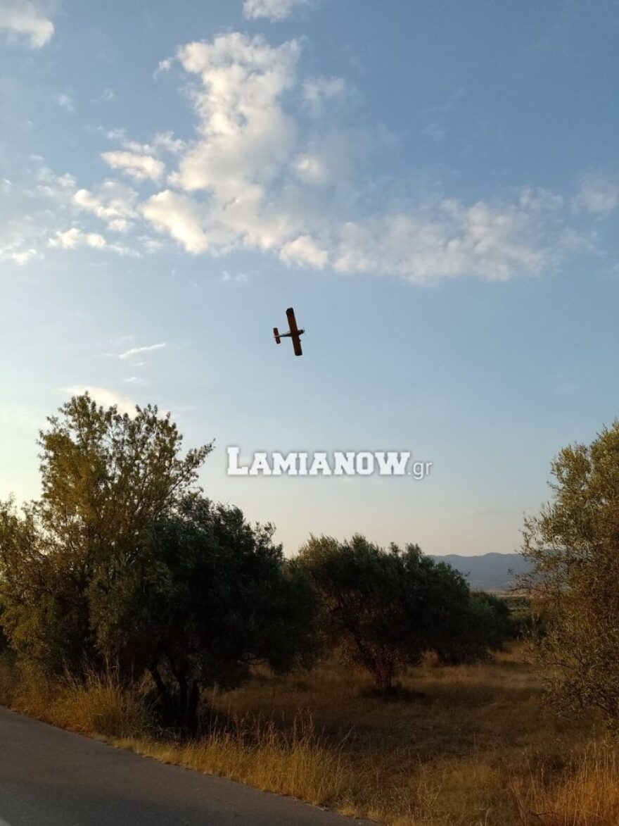 Υπό μερικό έλεγχο η φωτιά στη Λαμία - Μεγάλη κινητοποίηση της Πυροσβεστικής 