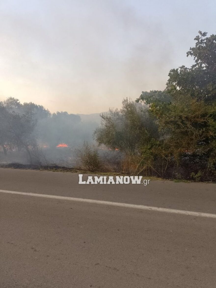 Υπό μερικό έλεγχο η φωτιά στη Λαμία - Μεγάλη κινητοποίηση της Πυροσβεστικής 