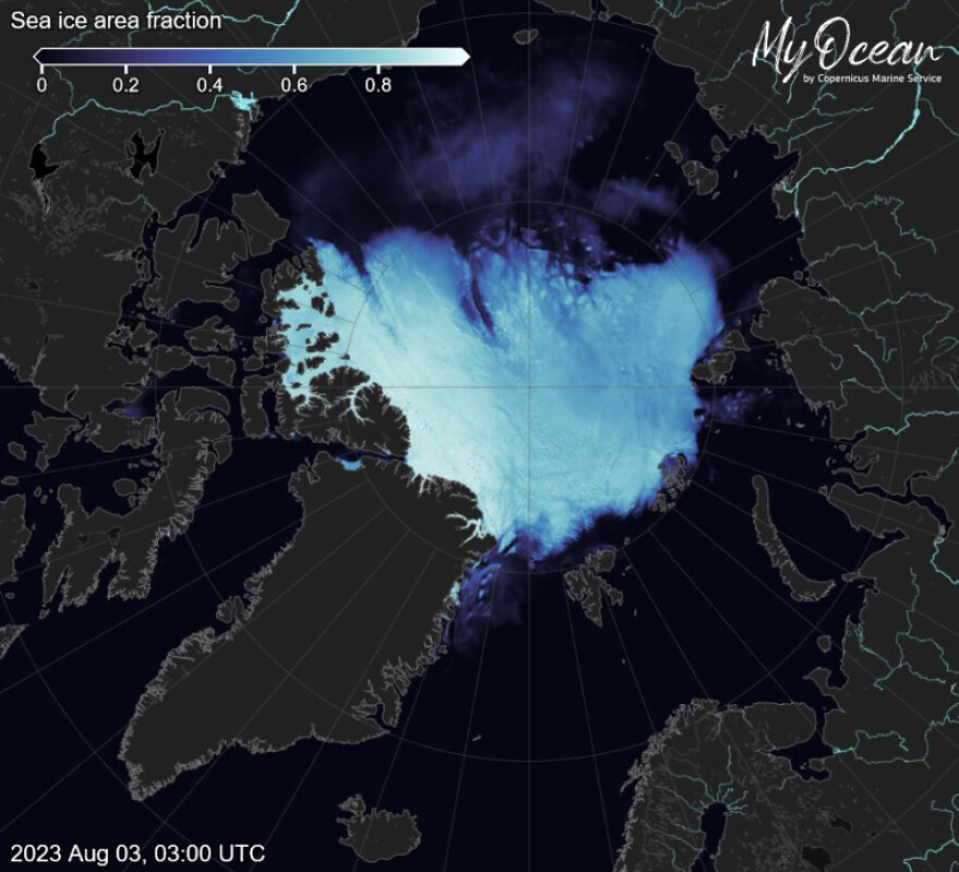 Κλιματική αλλαγή: Αρνητικό ρεκόρ θερμοκρασίας των ωκεανών - Φόβος για τα θαλάσσια είδη  