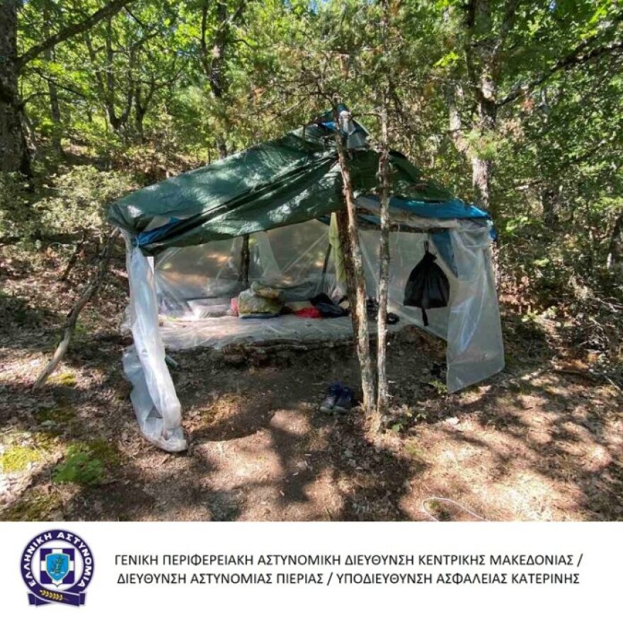 Τέμπη: Αστυνομικοί «ξερίζωσαν» χασισοφυτεία-μαμούθ με 2.808 δενδρύλλια - Δείτε φωτογραφίες