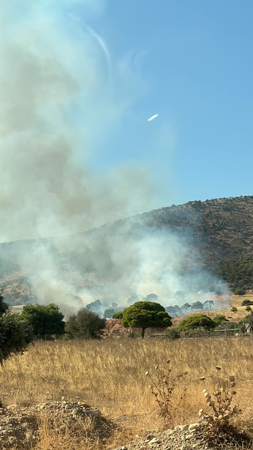 Φωτιές: Μεγάλη κινητοποίηση της πυροσβεστικής για τη φωτιά στο Σοφό Ασπροπύργου - Αγωνία για τους ισχυρούς ανέμους