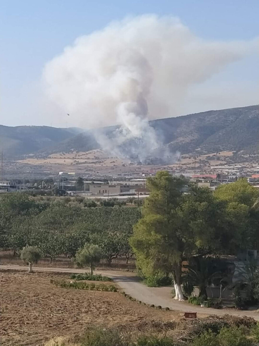 Φωτιές: Μεγάλη κινητοποίηση της πυροσβεστικής για τη φωτιά στο Σοφό Ασπροπύργου - Αγωνία για τους ισχυρούς ανέμους