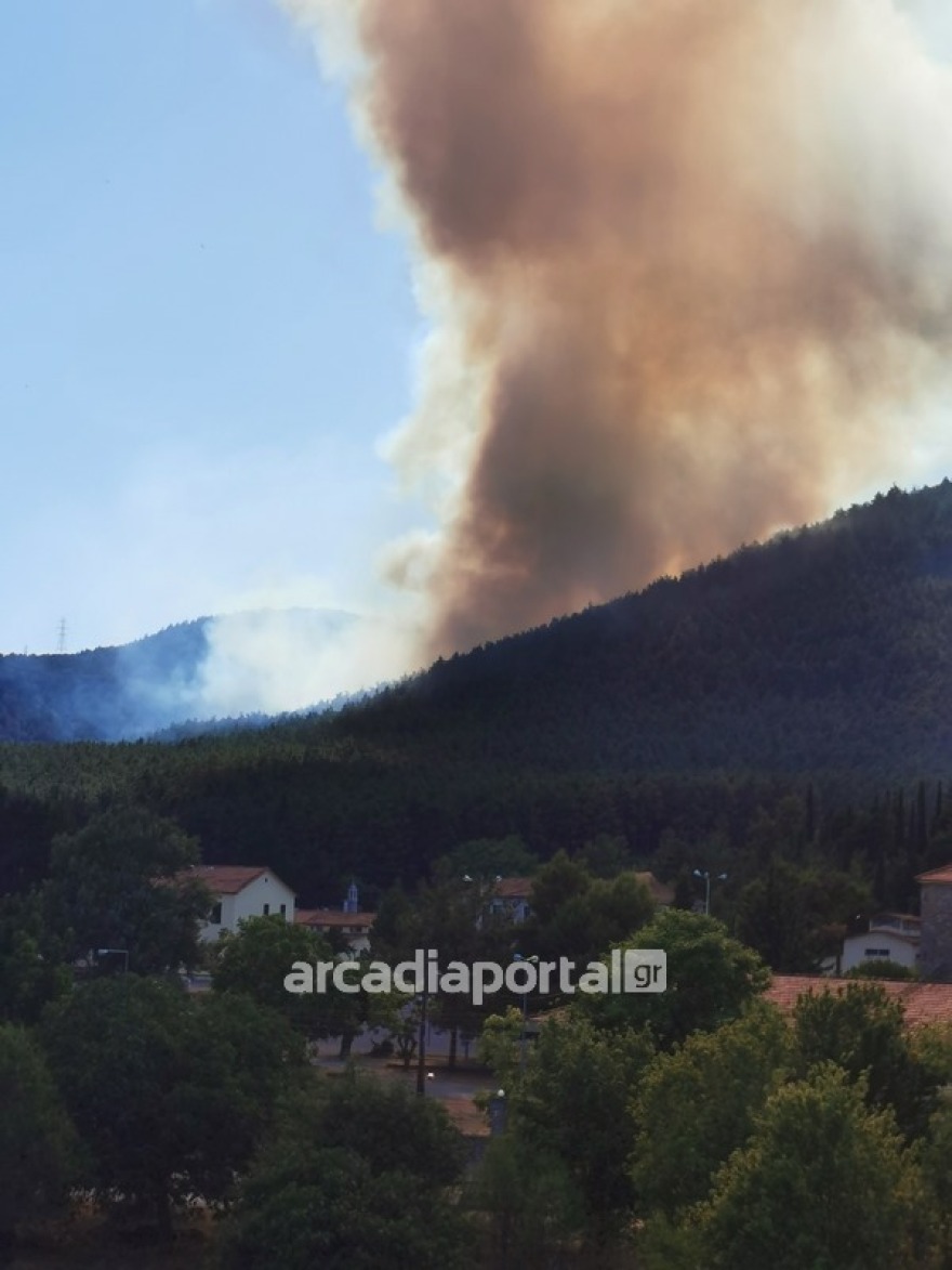 Τρίπολη: Κρατείται άτομο για τις τρεις φωτιές - Δείτε φωτογραφίες