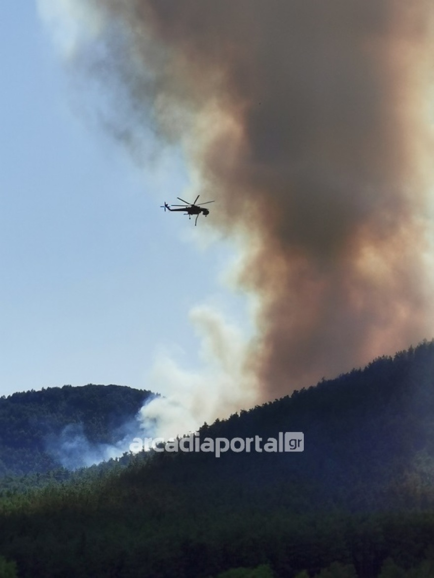 Τρίπολη: Κρατείται άτομο για τις τρεις φωτιές - Δείτε φωτογραφίες