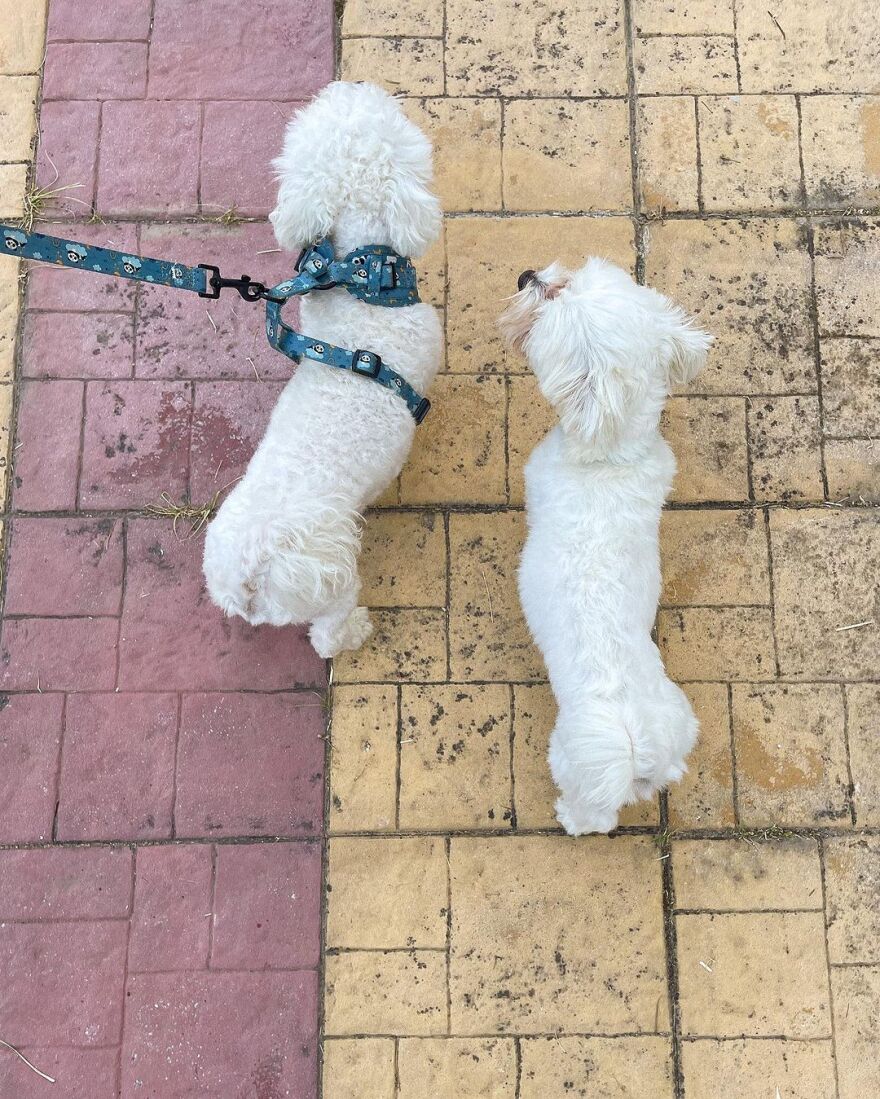 Λάουρα Νάργες: Η ανάρτηση για τα γενέθλιά της και οι Χρήστου Σαντικάι - Δείτε φωτογραφίες