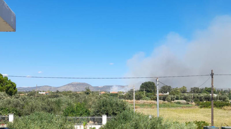 Φωτιά σε χαμηλή βλάστηση στον Μαραθώνα - Δείτε βίντεο, φωτογραφίες